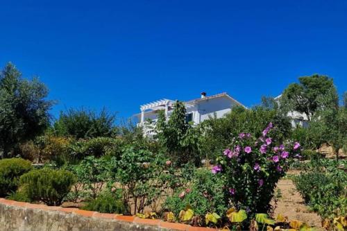 Refugio Abrunheiro Grande — hotel in Vila De Rei