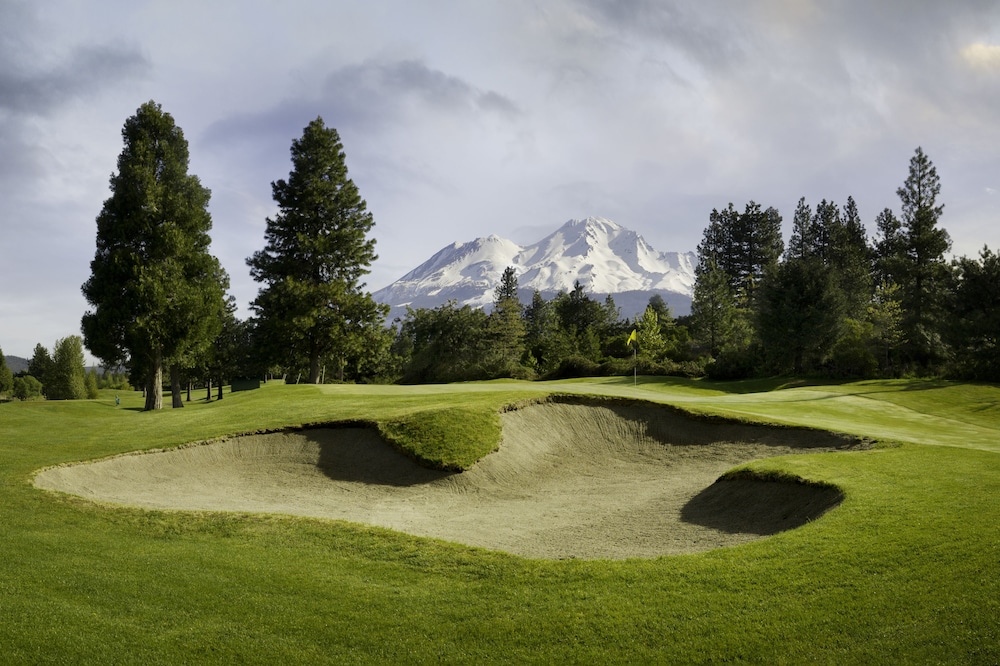 Mount Shasta Resort - photo 84