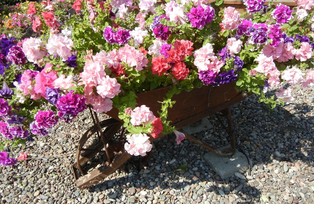 Rocky Point Ranch - photo 20