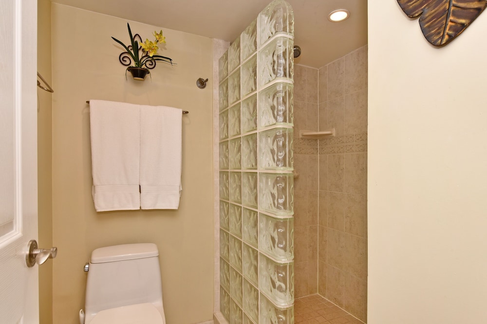 Mahana Resort #1104 1 Br Condo - photo 18