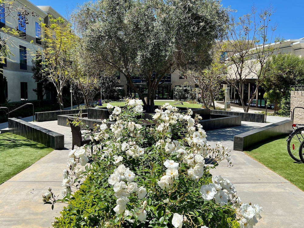 Holiday Inn Carlsbad by IHG - photo 42