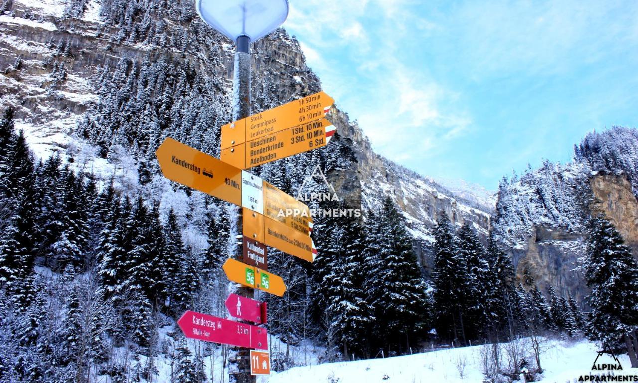 Alpina Appartment Kandersteg — Kandersteg — photo 2