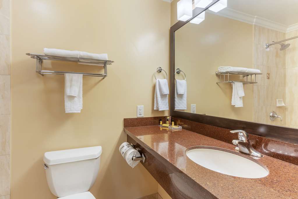 Best Western Plus Airport Plaza - photo 22