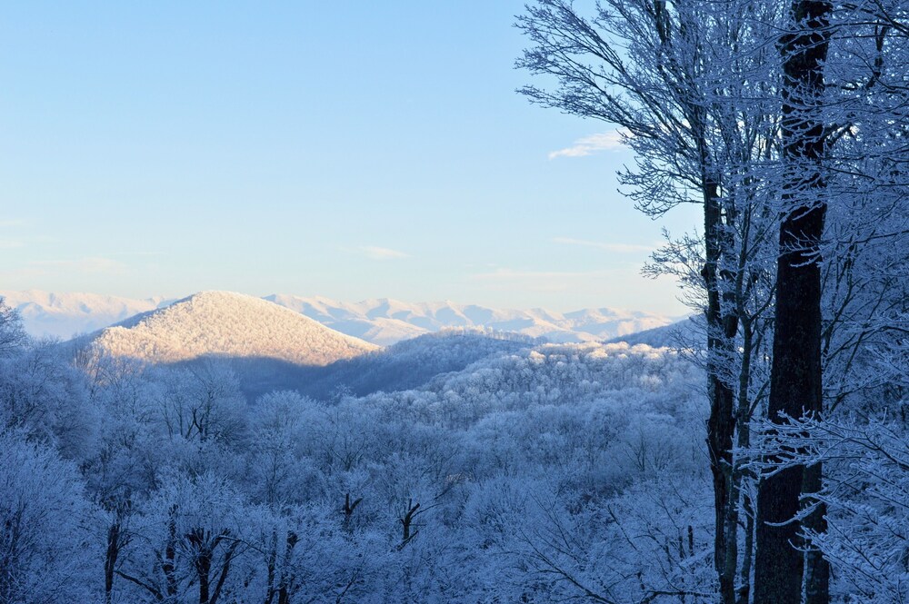 Bald Mountain House Inn at the Wolf Laurel Resort - photo 45