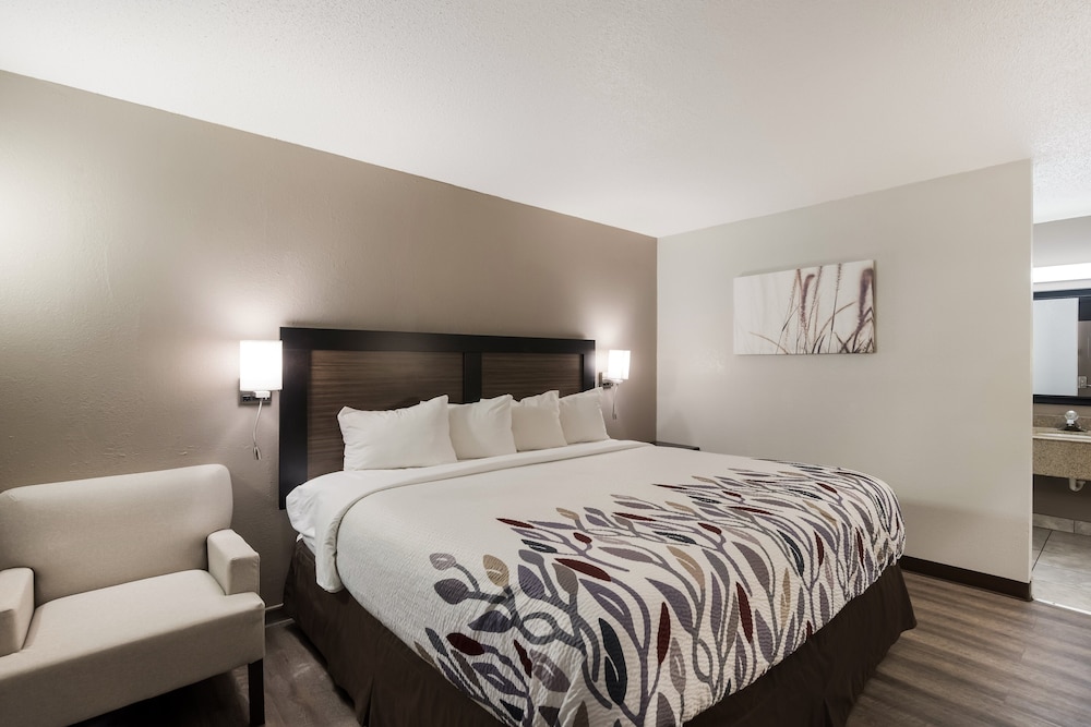 Red Roof Inn Lenoir - photo 10