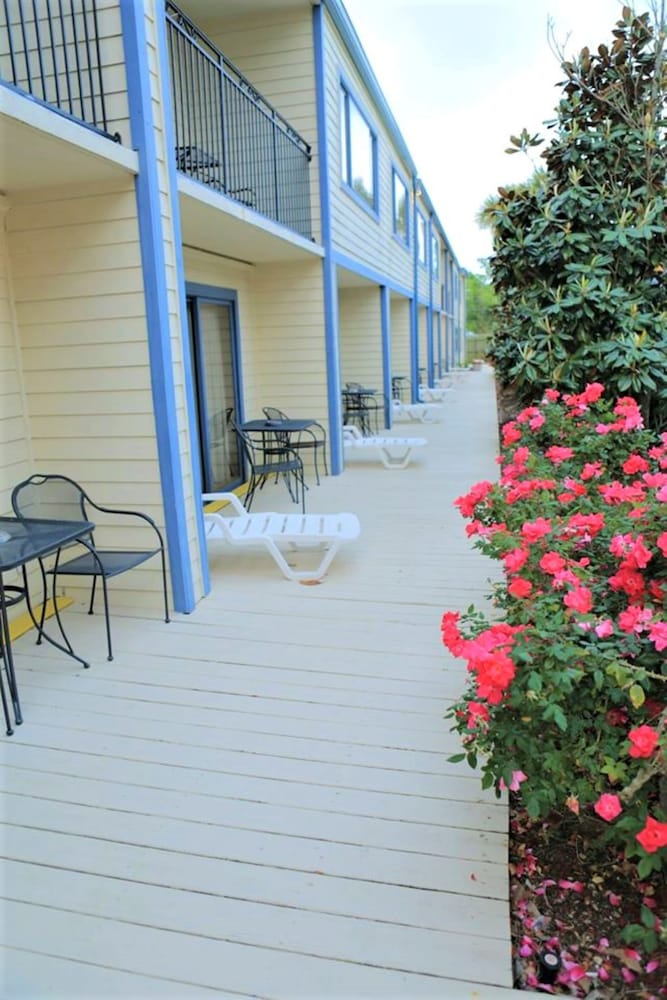 Royal Holiday Beach Resort - photo 30