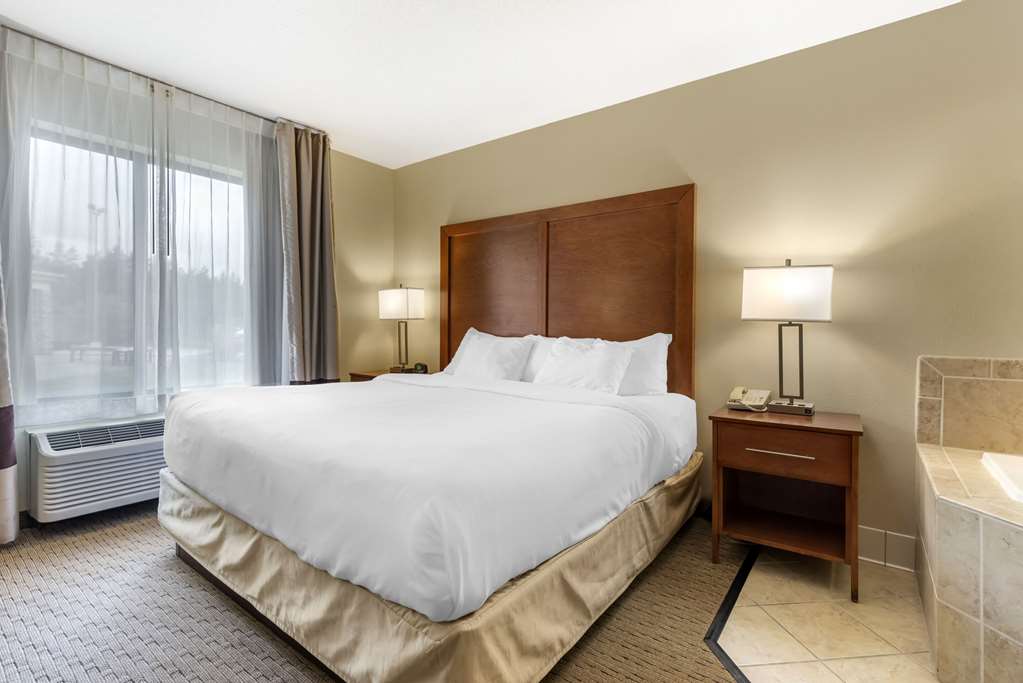 Comfort Inn & Suites Black River Falls I 94 - photo 11