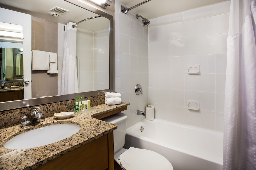 Holiday Inn Saratoga Springs by IHG - photo 27