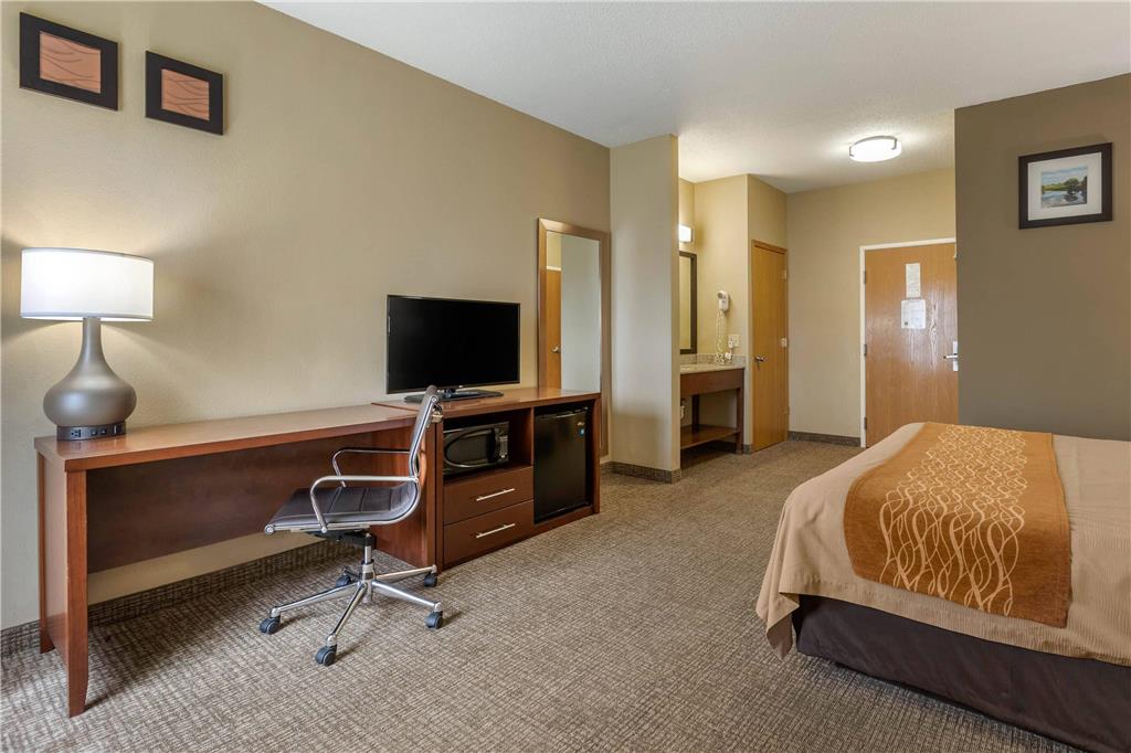Comfort Inn Walcott near Davenport - photo 14