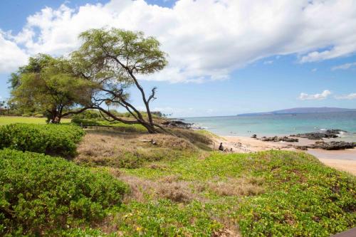 Hale Kamaole 220 - photo 29