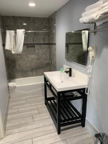 Willow Tree Inn & Suites - photo 7
