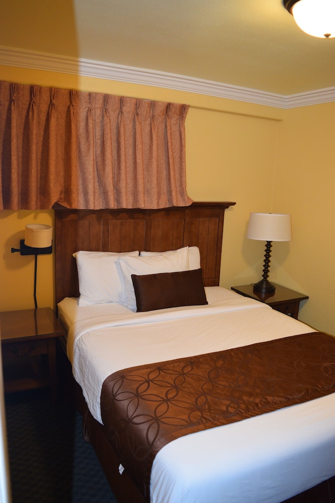 The Royal Victorian Motel - photo 10