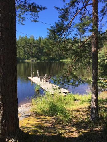 Mökki Aapola — Puumala — photo 2