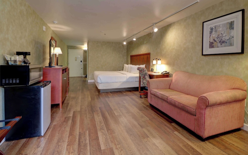 Senator Inn & Spa - photo 48