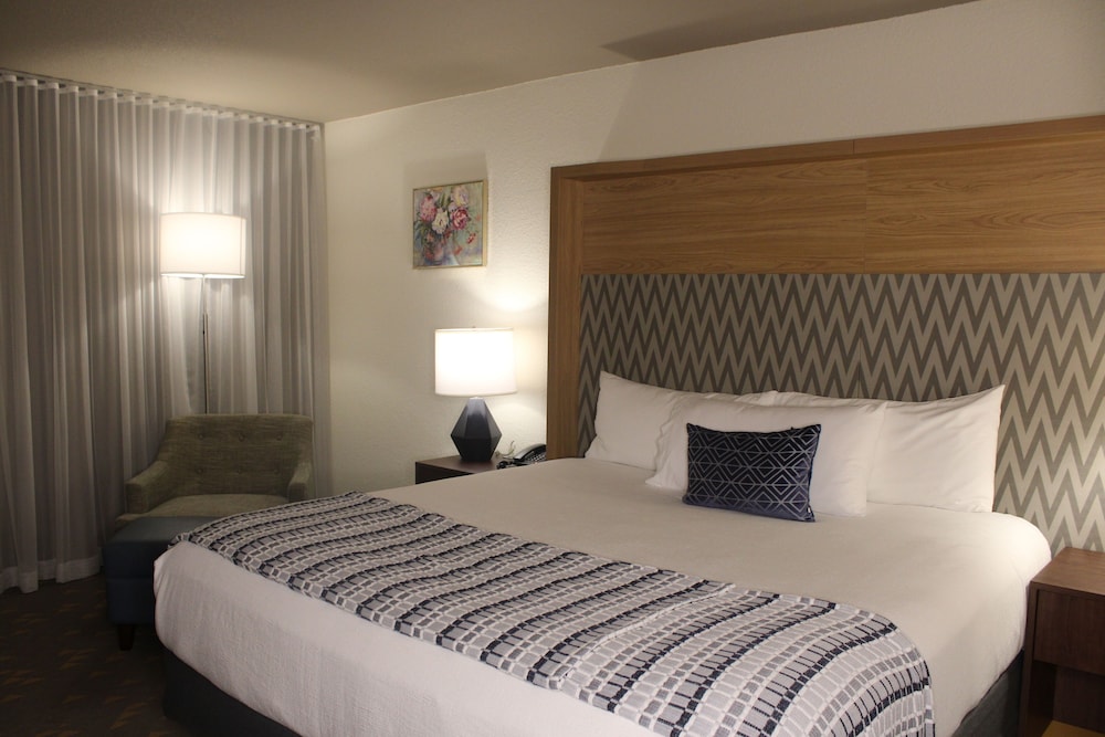 Wyndham Flint Grand Blanc Bishop Airport Confe - photo 10