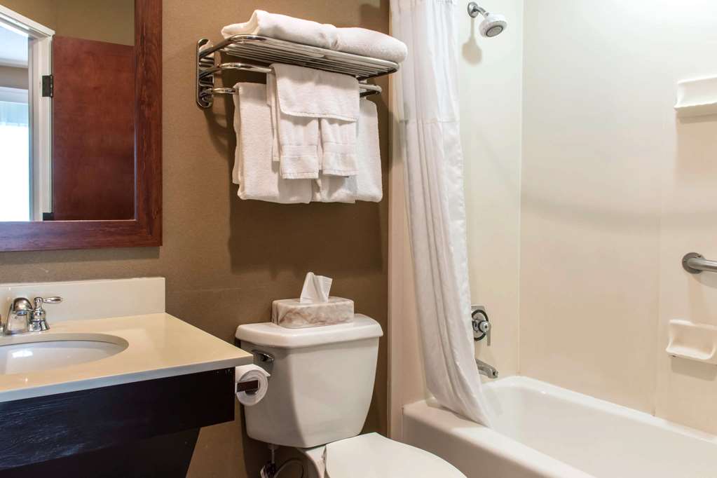 Comfort Suites Scranton near Montage Mountain - photo 9