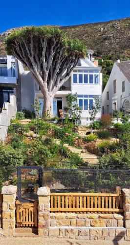 The Dragon Tree Guesthouse — 4-Star Luxury Hotel in Cape Town, South Africa