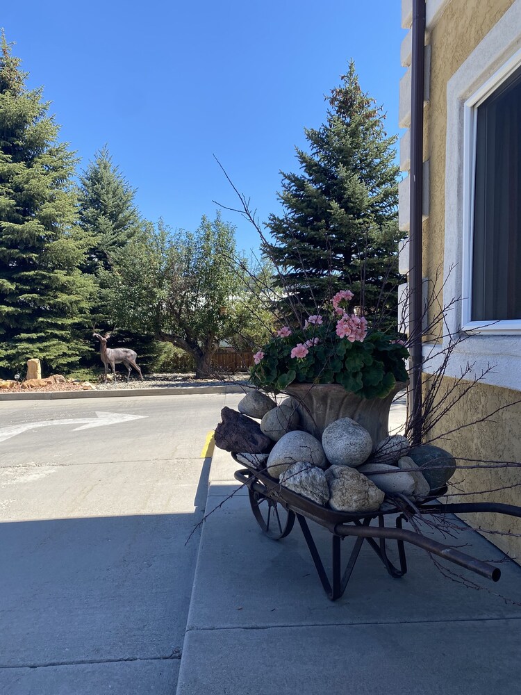 Browns Canyon Inn - photo 64