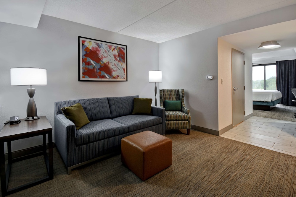 Hilton Garden Inn Detroit Metro Airport - photo 17