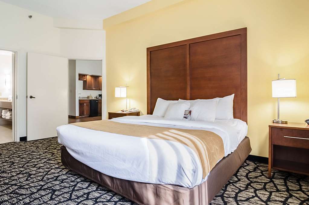 Comfort Suites Innsbrook Short Pump - photo 14