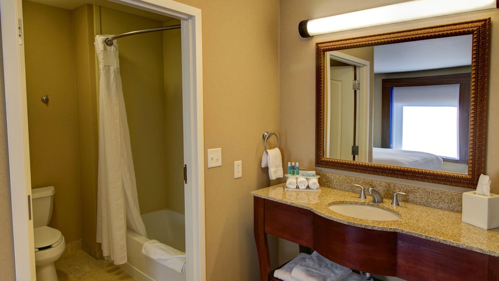 Holiday Inn Express & Suites Sioux City Southern Hills by IHG - photo 43