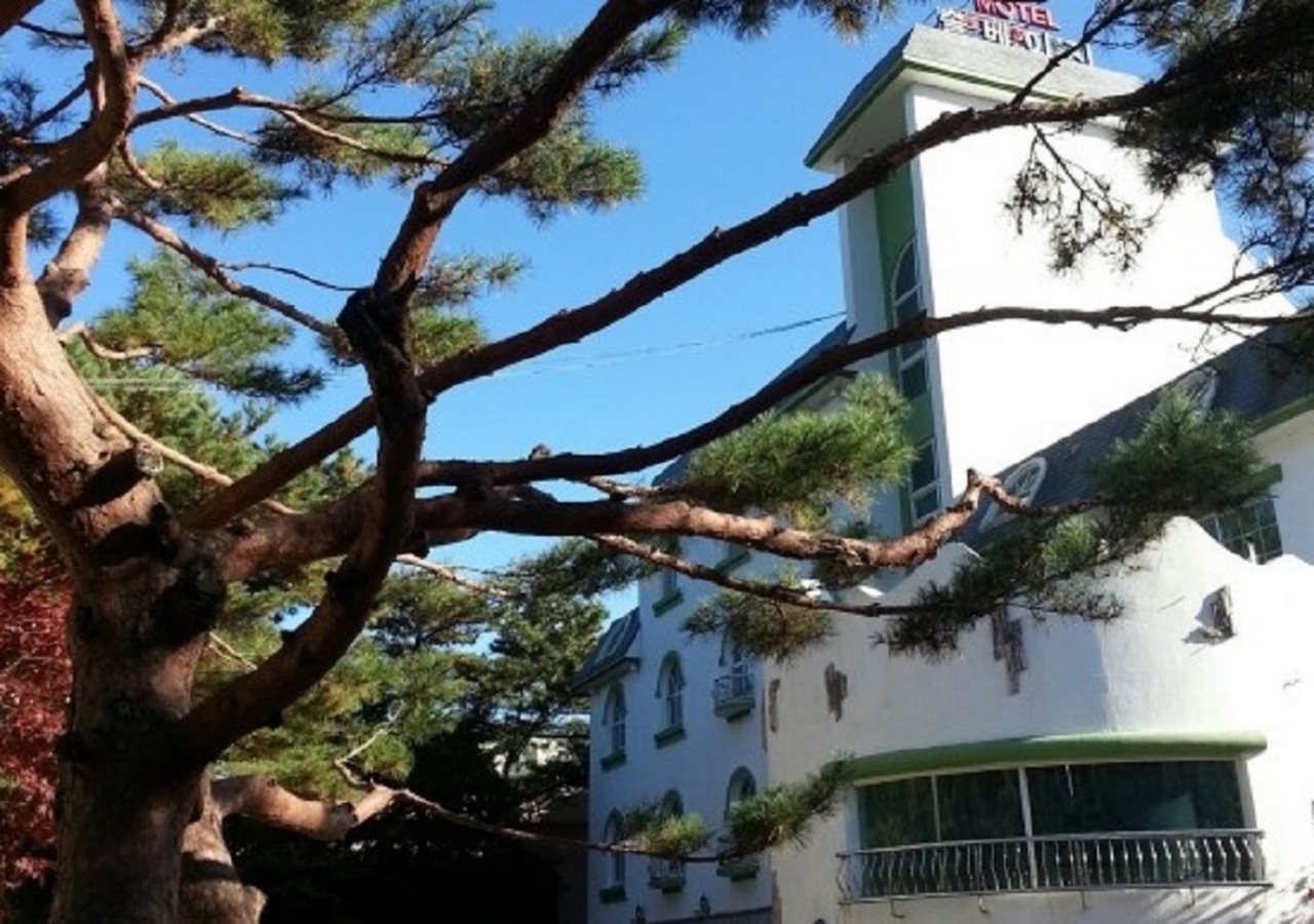 Solveig Hotel - last minute hotel in Ulsan