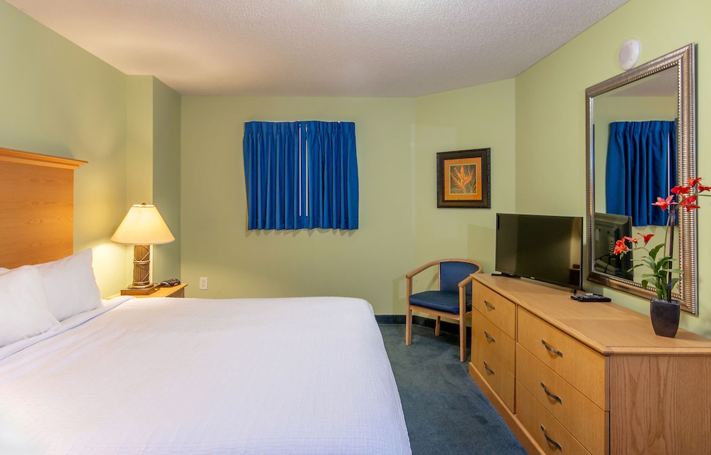 Paradise Resort - photo 12