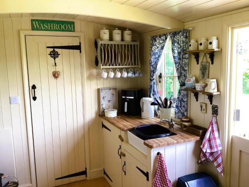 Lilly’s Pad — Bude — photo 4