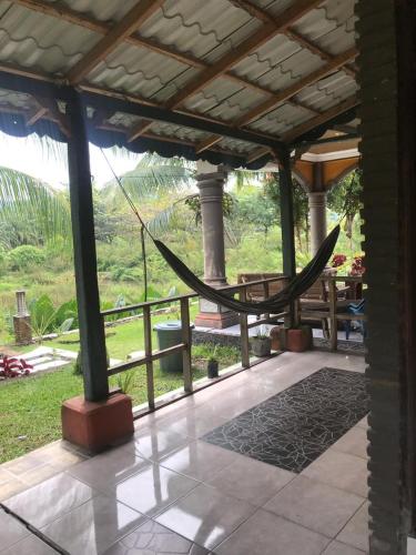 Sumatra Cheeky Monkeys in Berastagi, Indonesia