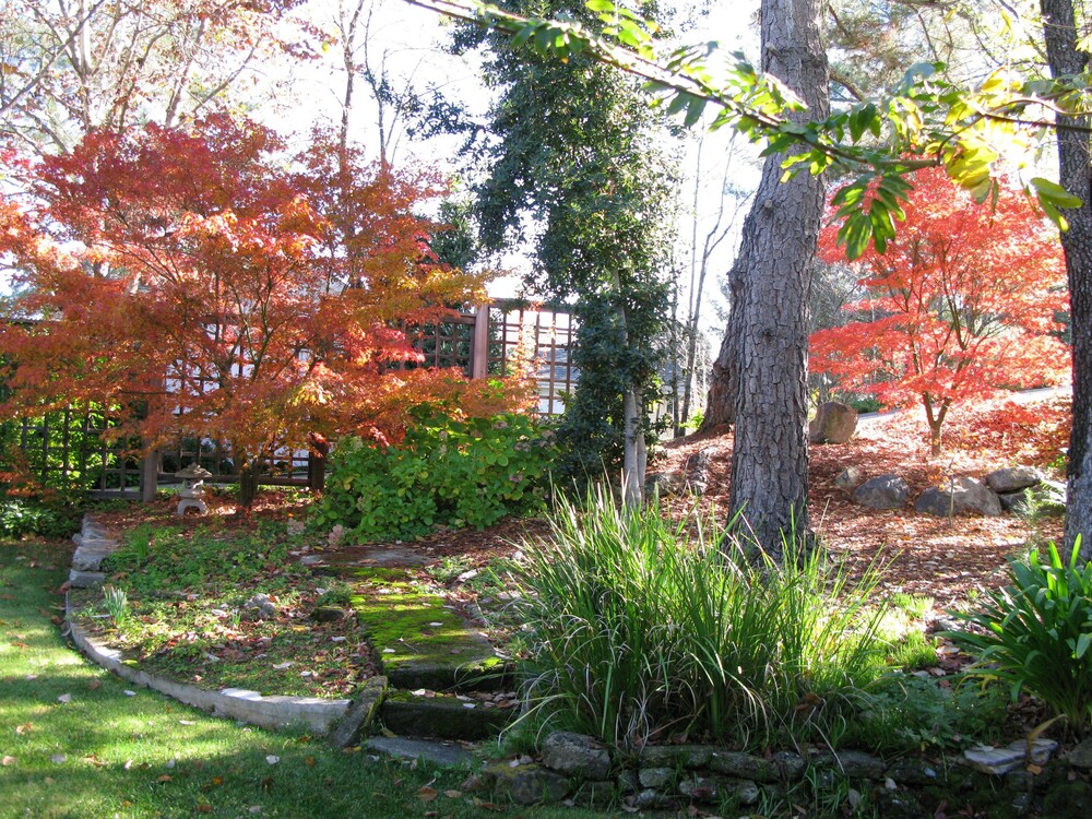 Belle de Jour Inn - photo 23
