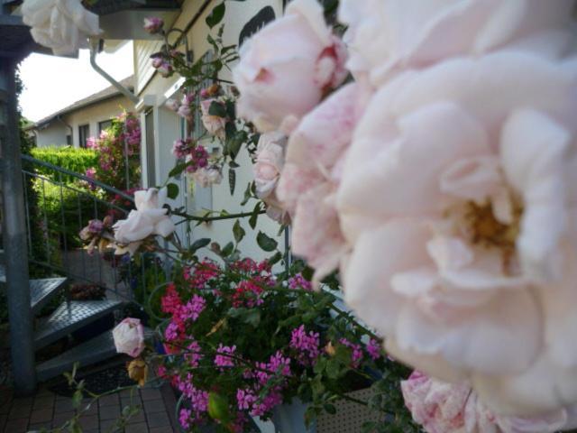 Gastehaus Rosengarten Im Nahetal — Kirn