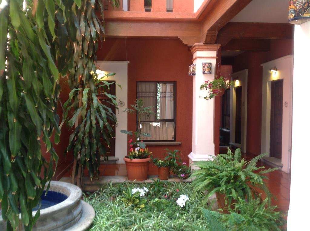 Hotel Maela in Oaxaca, Mexico