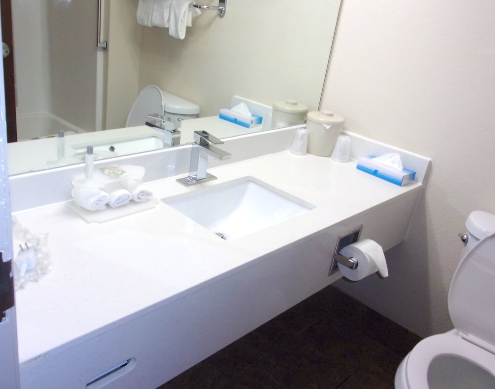Econo Lodge Inn & Suites - photo 28
