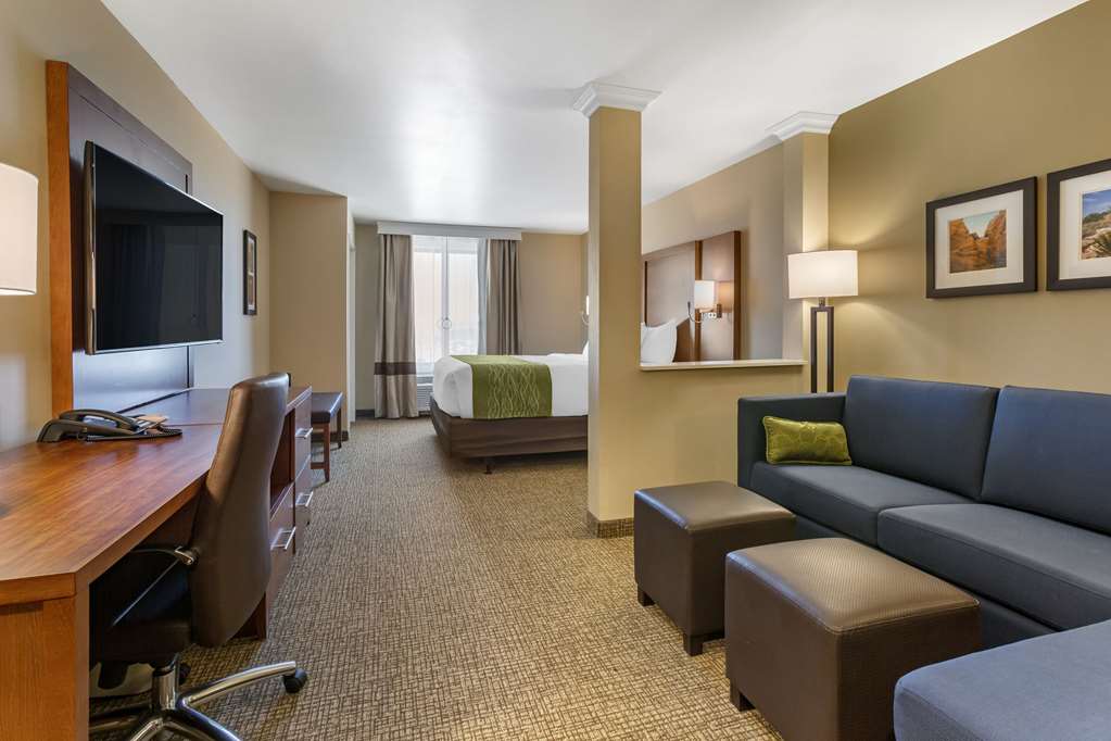 Comfort Suites Albuquerque Airport - photo 10