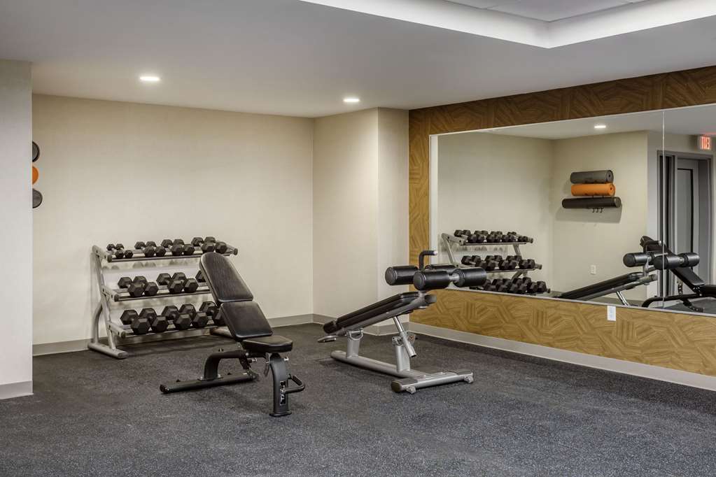 Comfort Inn & Suites Newark Liberty International Airport - photo 46