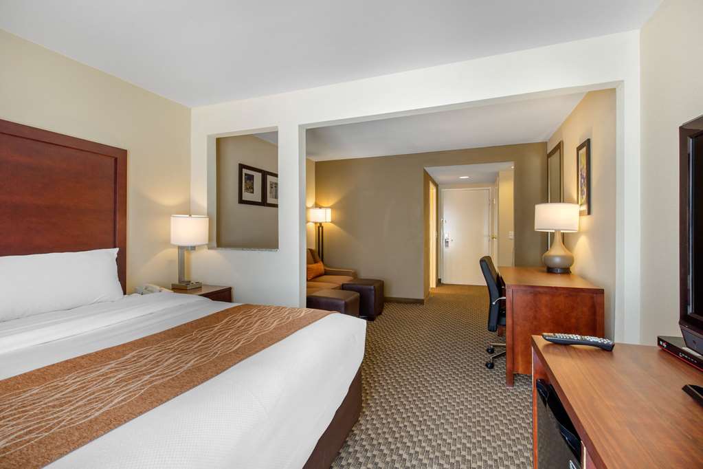 Comfort Inn & Suites SW Houston Sugarland - photo 23