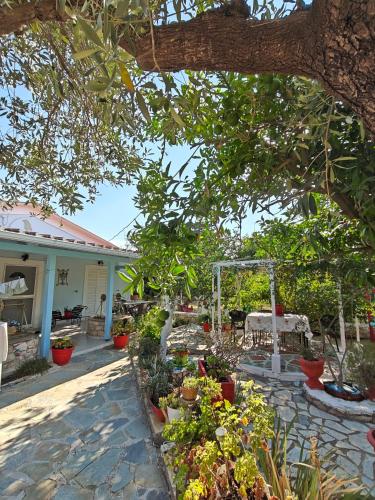 Villa Mimika — Sikyon — photo 5
