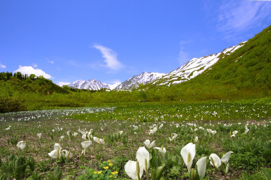 Tsugaike Kogen Hotel — Nagano — photo 3