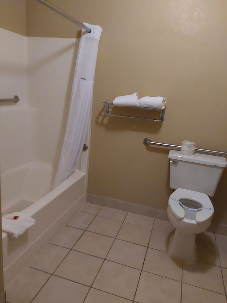 Lavissh Inn & Suites - photo 18