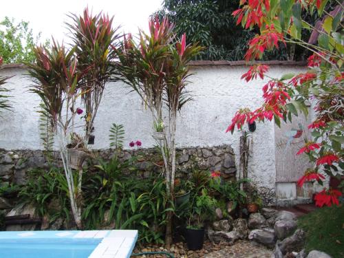 Belmopan Bed And Breakfast — Belmopan — photo 5