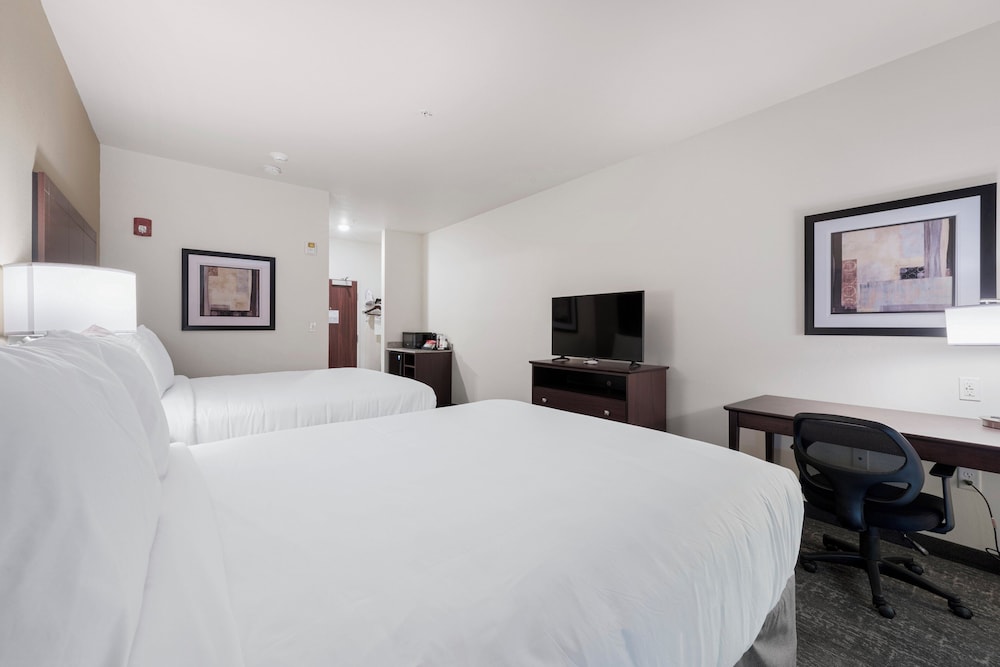 Cobblestone Hotel & Suites Urbana - photo 43