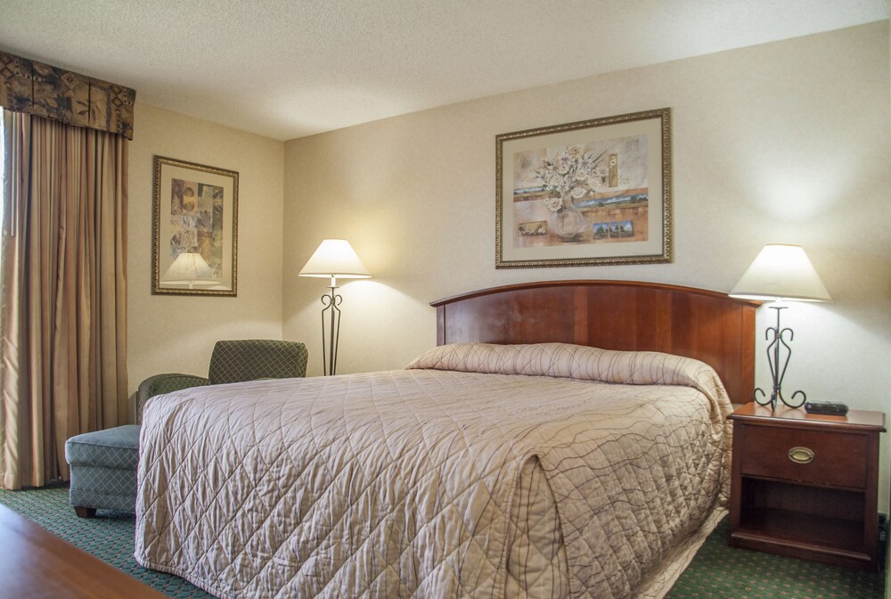 Hotel Calle Joaquin - photo 10