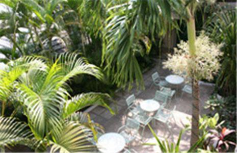 Indies hotel - last minute hotel in Kingston