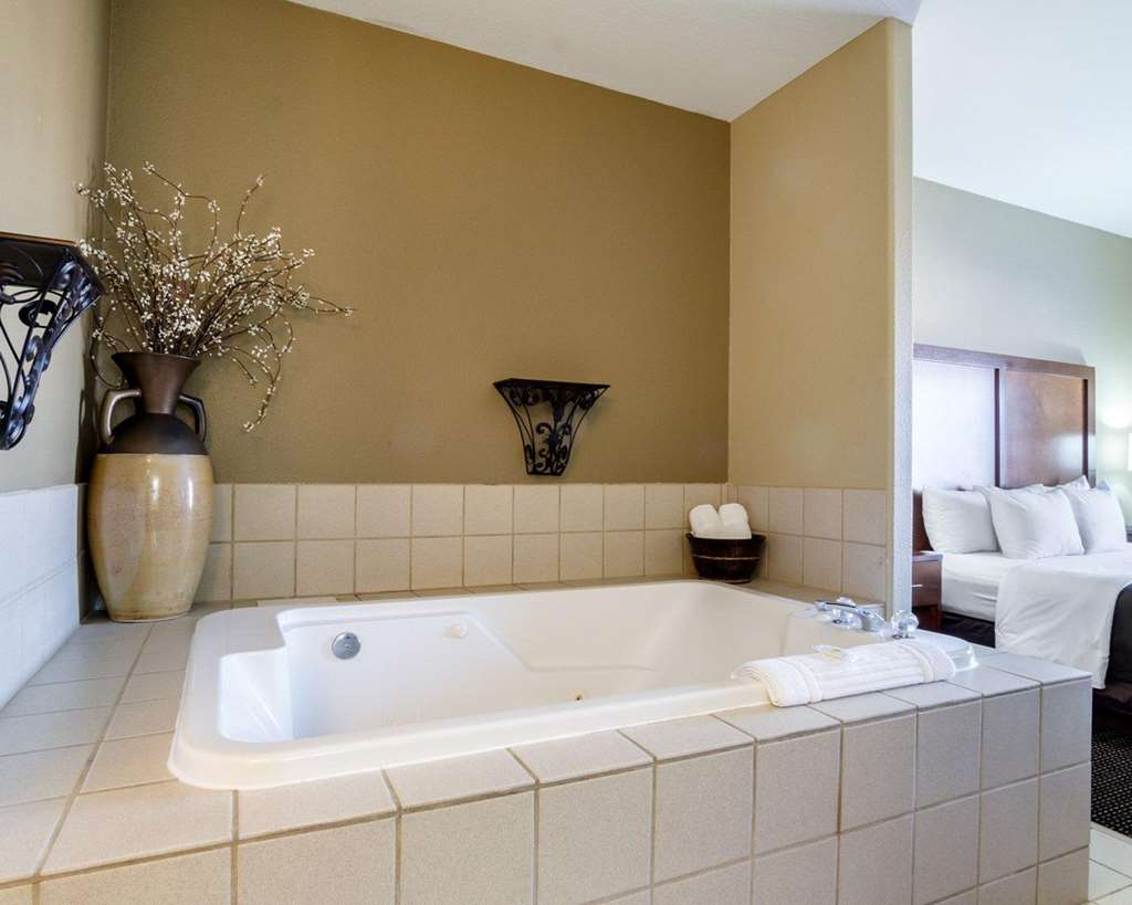 Comfort Inn Garden City - photo 22