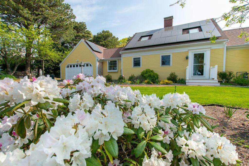Sunroom Mins To Beaches Views Of Marsh — Eastham