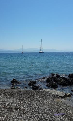 The Red Dragon - carbon neutral hotel in Corfu