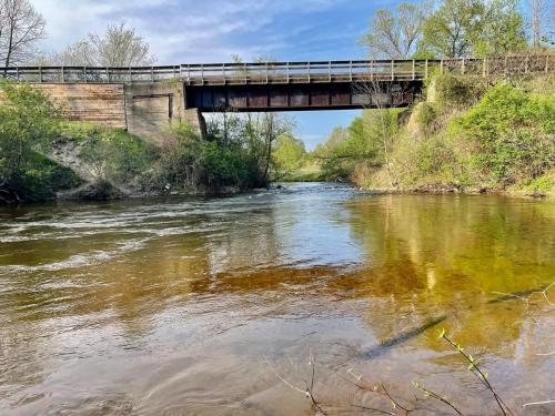 8 Acres on Betsie River River front Trails Disc golf — hotel in Thompsonville