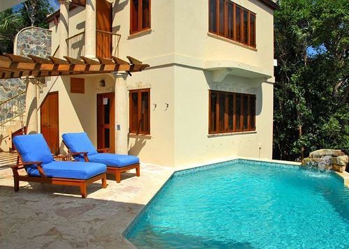 Coral Oasis in Central, U.S. Virgin Islands