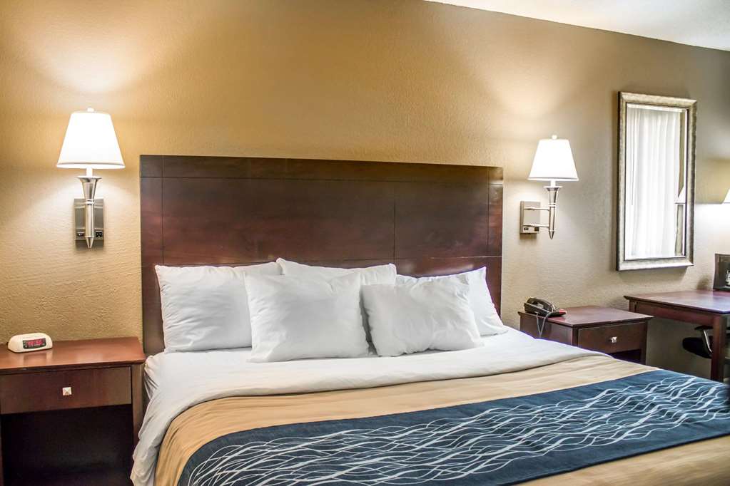 Comfort Inn Sandusky - photo 9