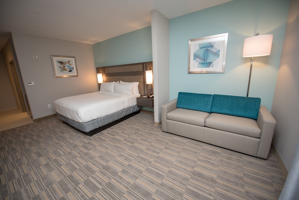Holiday Inn Express & Suites Lake Charles South Casino Area by IHG - photo 26
